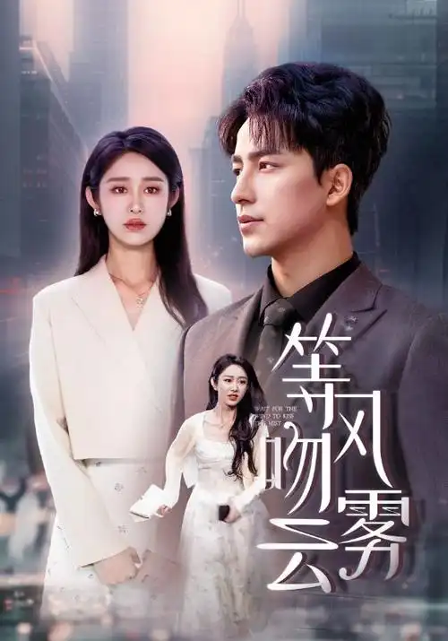 完美世界 封面